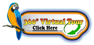 360 degree virtual tour